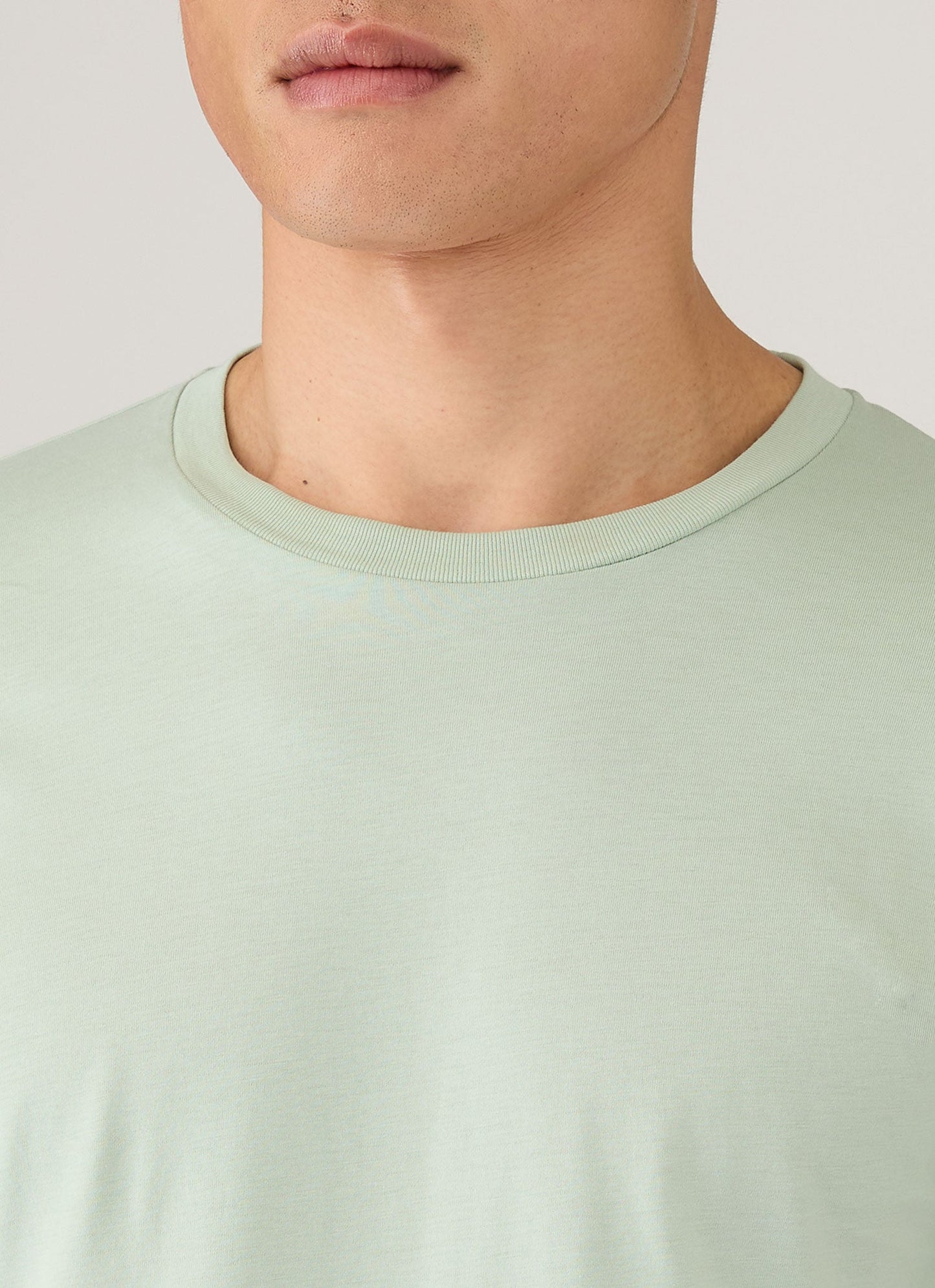Mens Riviera Midweight Tshirt In Laurel Mtsh0007R Gnjb