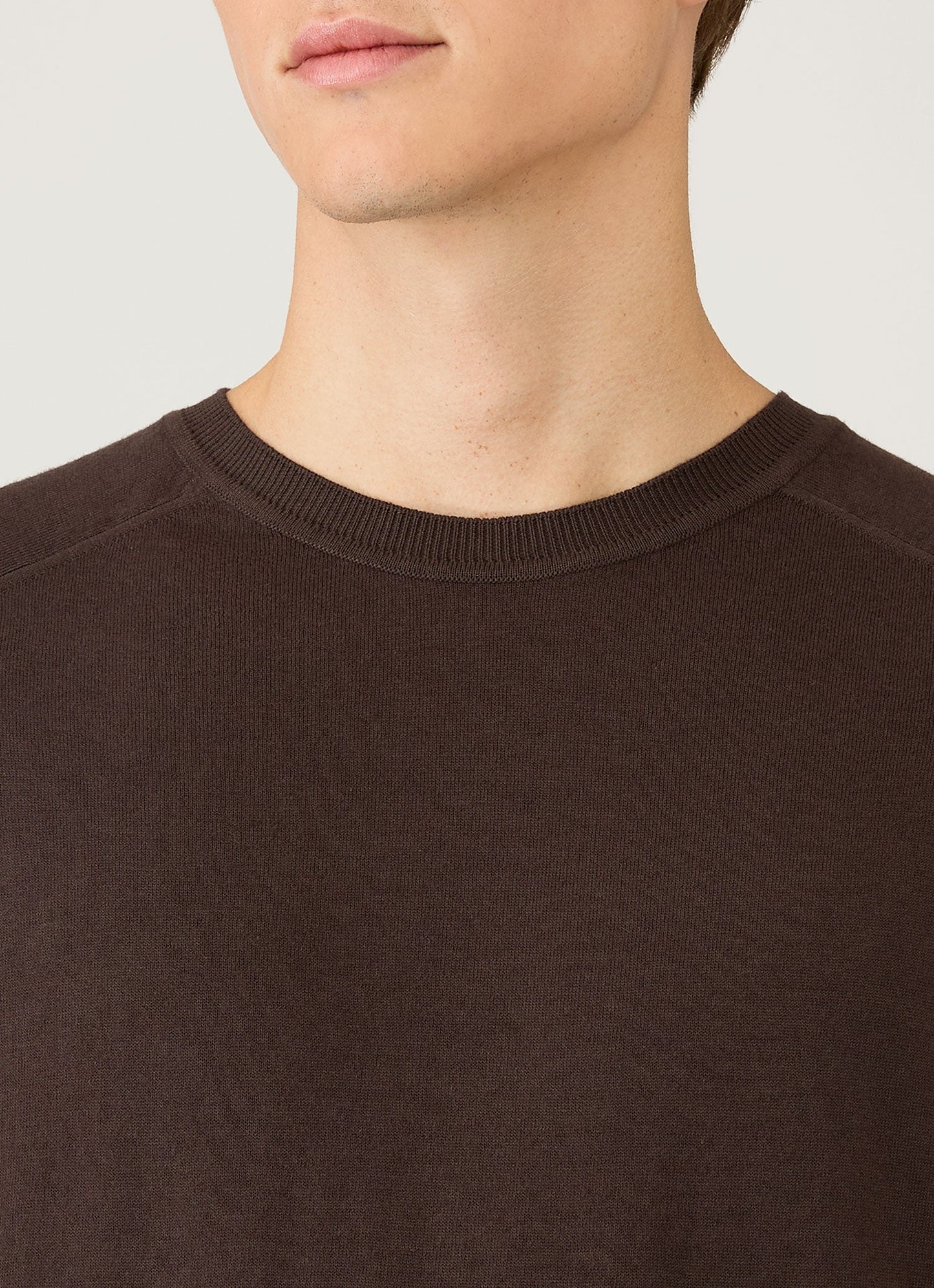 Men's Sea Island Cashmere Crew Neck Jumper in Dark Chocolate